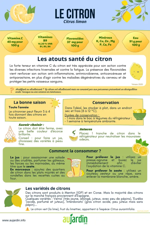 Le citron, de l'nergie en toutes saisons