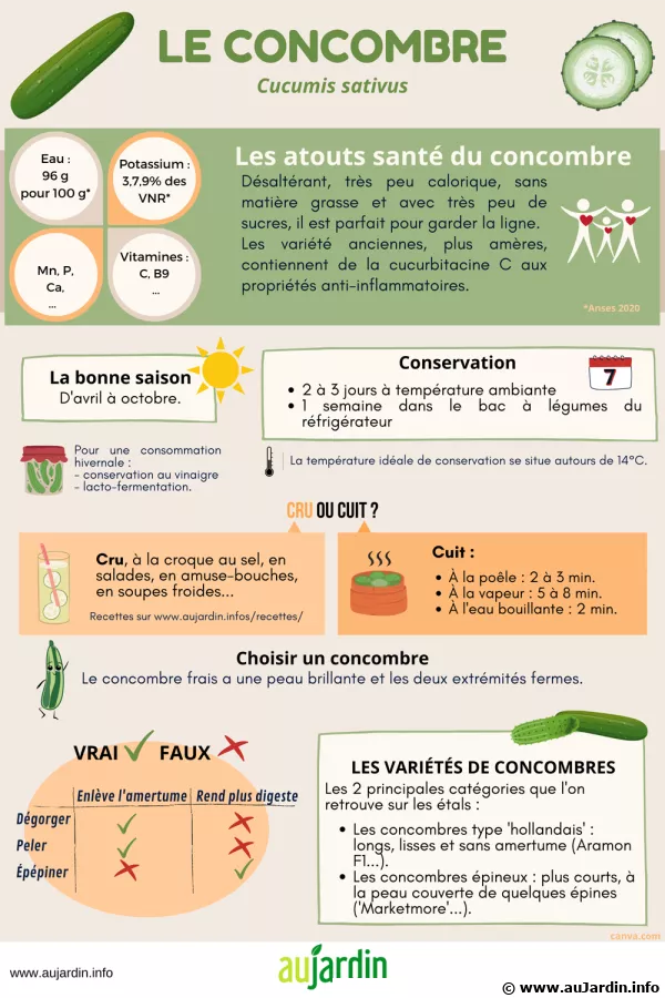 Concombre, un lgume fracheur et dittique