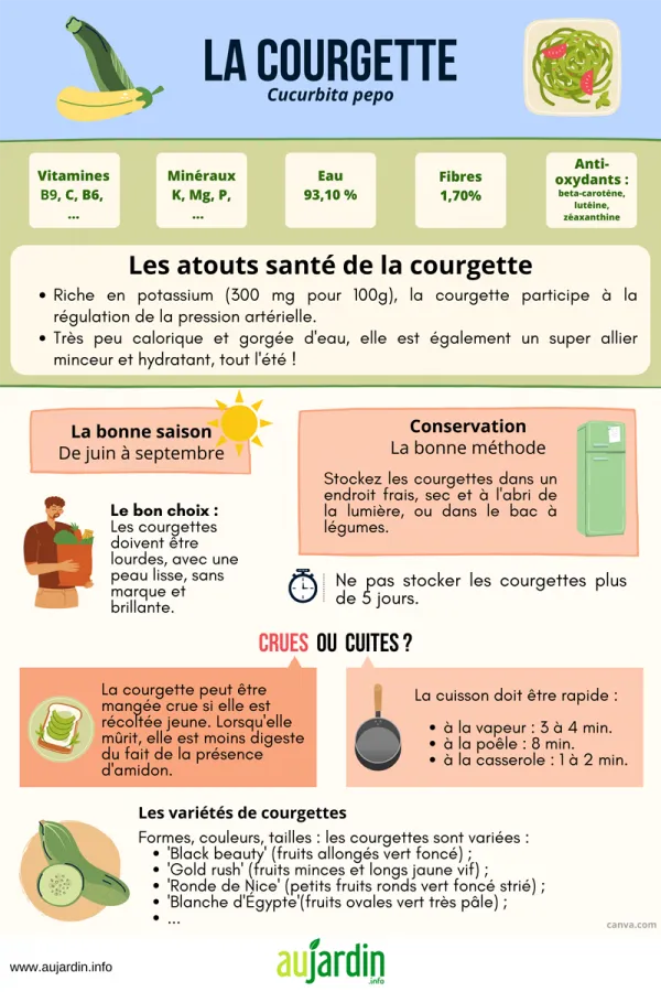La courgette, un lgume d't dittique