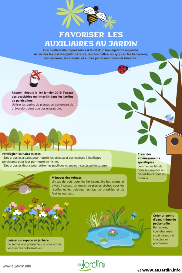 Favoriser les auxiliaires du jardinier