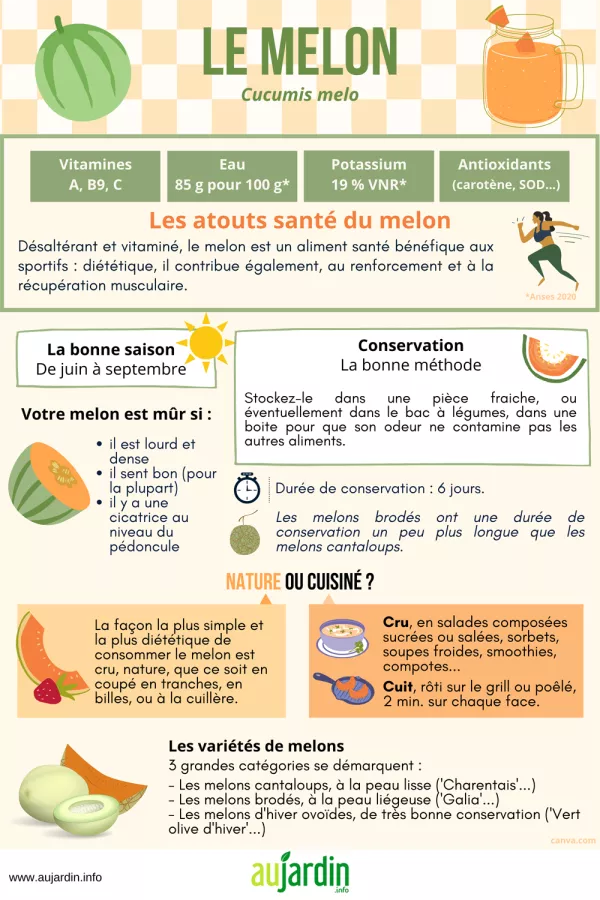 Le melon, le lgume fruit de l't par excellence