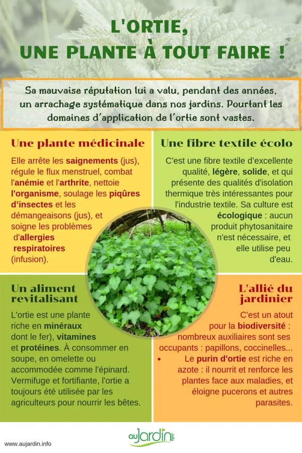 L'ortie, une plante  tout faire