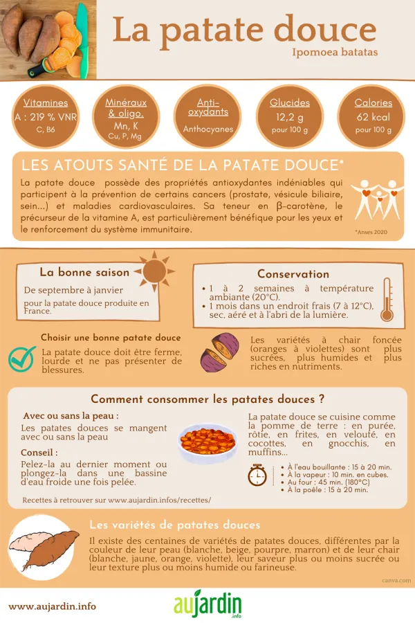 La patate douce, un lgume exotique qui a su nous sduire
