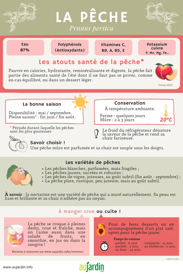 La pche, un fruit d't hydratant et reminralisant