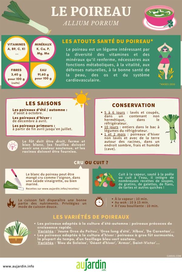 Le poireau, un lgume sant toute l'anne