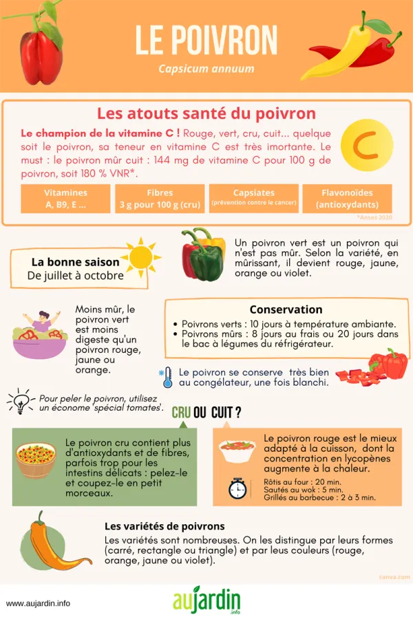 Le poivron, des vitamines et de la couleur