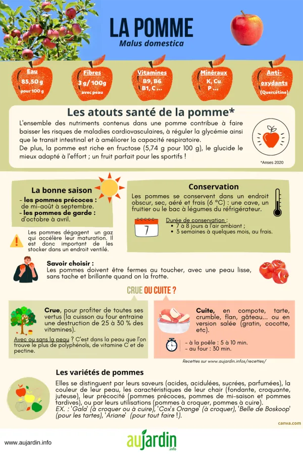 La pomme, pour tre en forme toute l'anne