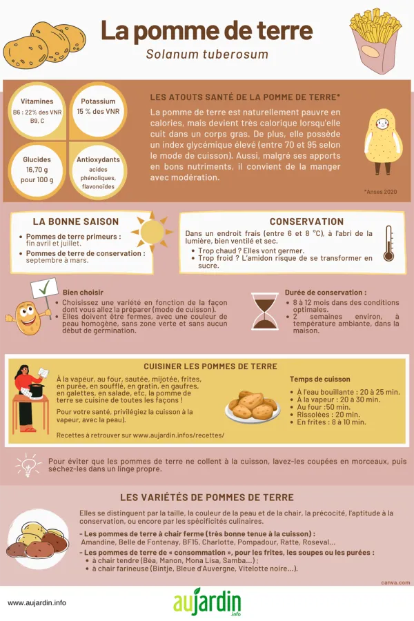 La pomme de terre, disponible toute l'anne