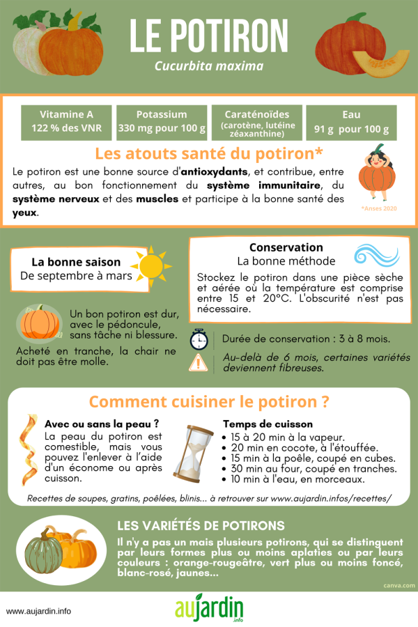 L'oignon - Fiche légume, valeurs nutritionnelles, calories, santé