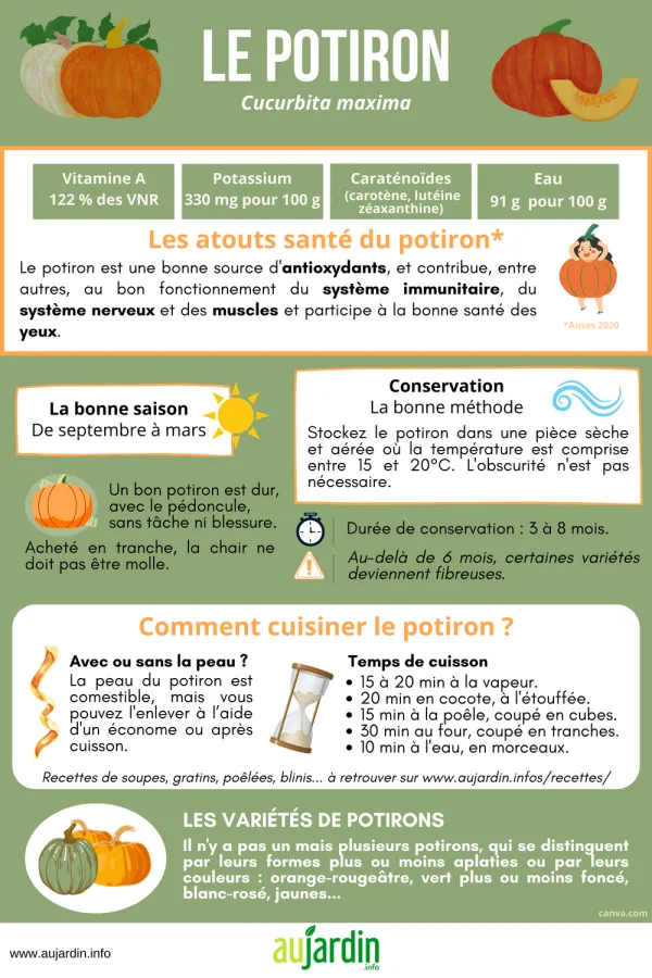 Le potiron, un lgume peu calorique et bnfique pour la sant