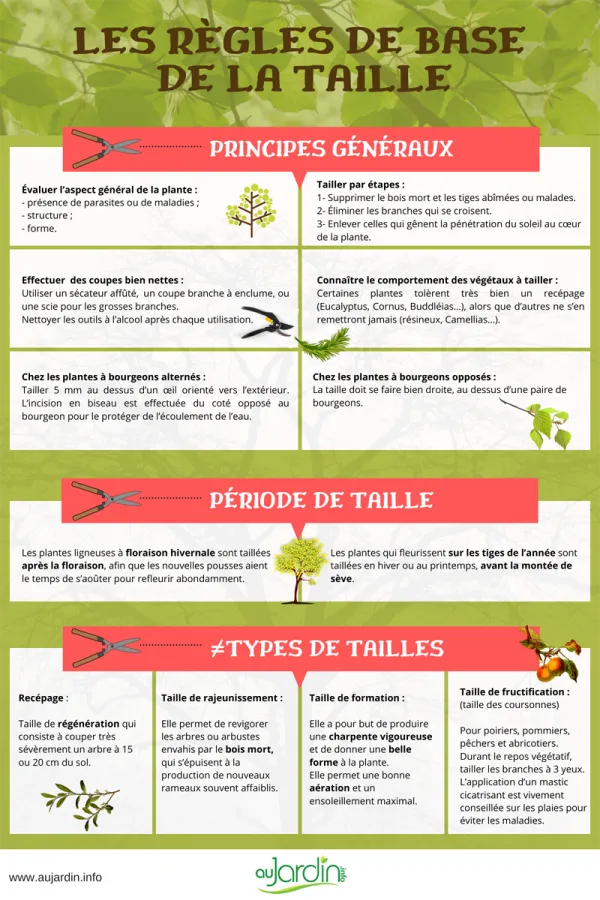 Les rgles de base de la taille