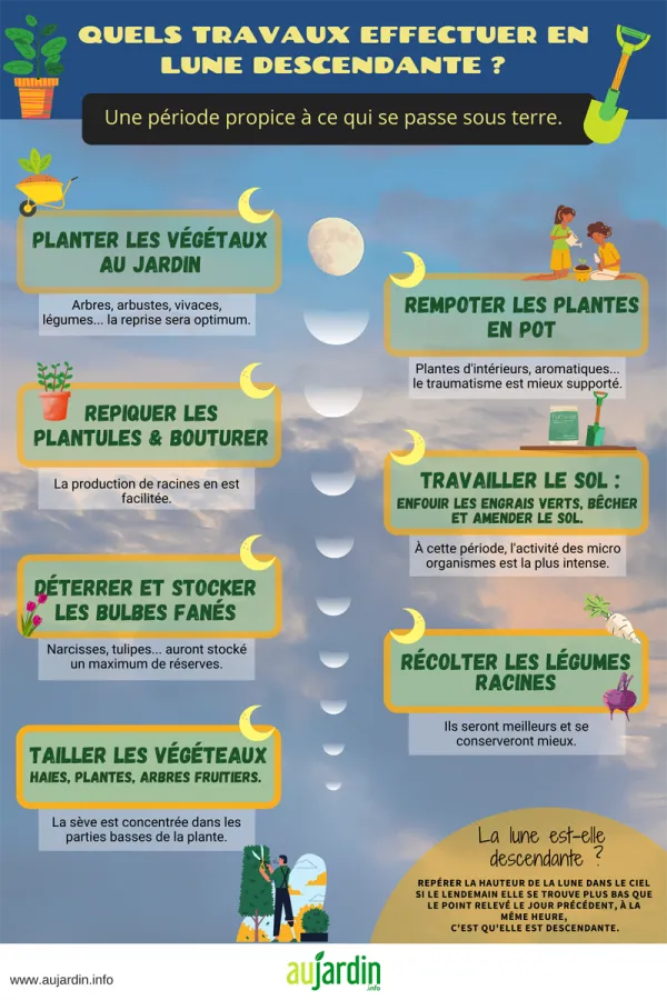 Les travaux en lune descendante