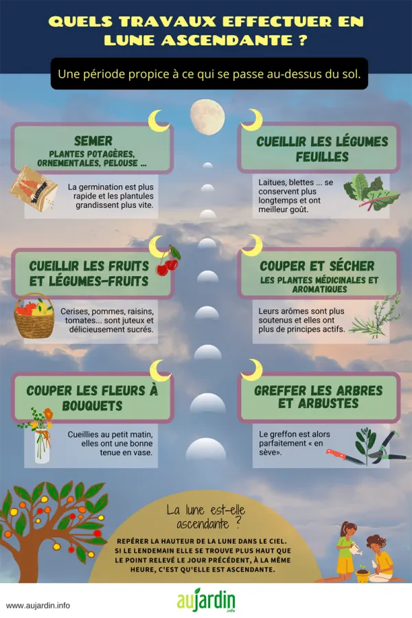 Les travaux en lune ascendante