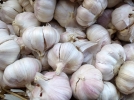 L'Ail, l'aliment sant