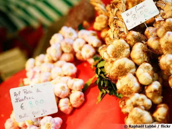 Aulx divers sur l'étal d'un marchand au marché