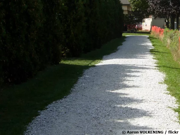 Une allée de graviers