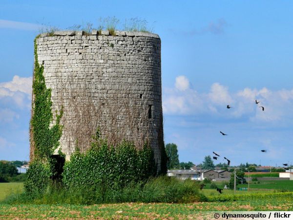 Ancien pigeonnier à Niort