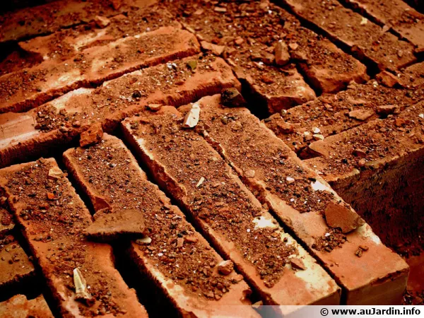 Des briques d'argile cuites