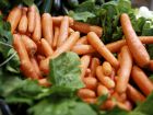 Récolter et conserver ses carottes
