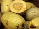 La courge spaghetti, une courge pas comme les autres