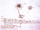 Carl Von Linn et la classification des plantes