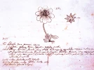 Carl Von Linn� et la classification des plantes