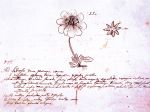 Carl Von Linné et la classification des plantes