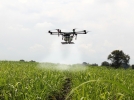 Bienvenue dans l're o les drones remplacent les abeilles!