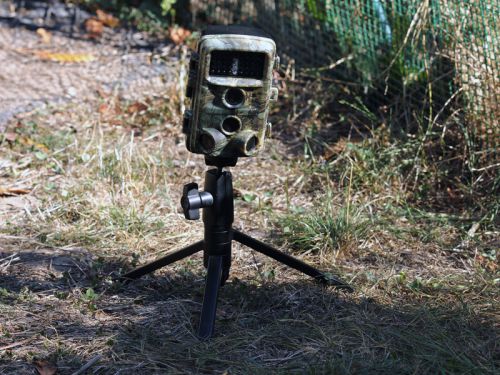 Espionner son jardin avec une caméra de chasse