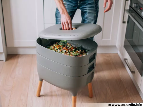 Un lombricomposteur d'intérieur compact