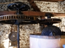 Les bienfaits de l'huile d'olive