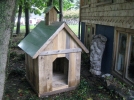 O installer la niche du chien?
