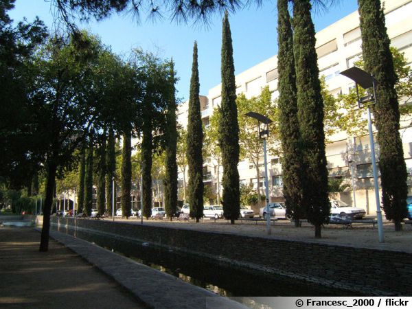 Des cyprès de Provence au Parc Carles I à Barcelone