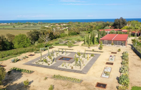 Parc Gal&eacute;a, parterre de cact&eacute;es