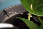 Le jardin connect�