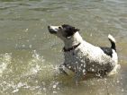 Pilou au bain, il faut se tenir près et déclancher au bon moment.