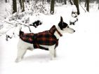 La promenade peut être aussi l'occasion de faire des photos. Attention en cas de neige à la sousexposition dû à la neige.