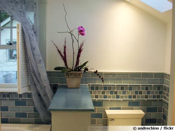 Une orchidée Phalaenopsis appréciera la salle de bain