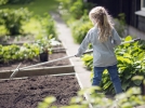 A vos rteaux de jardin