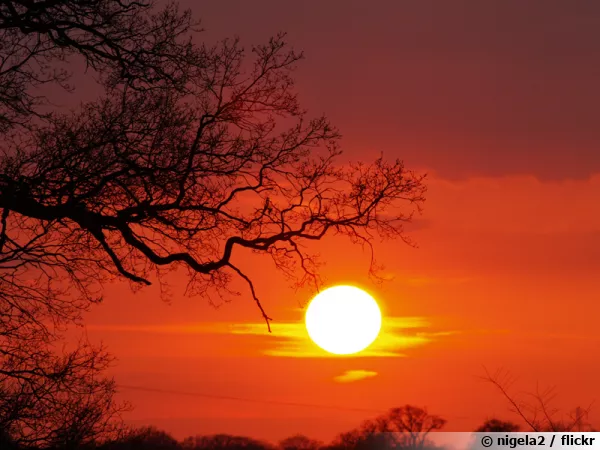 Pour solariser un sol, il faut du soleil...