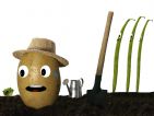 Travailler pour des haricots