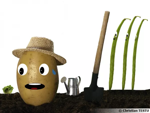 Travailler pour des haricots