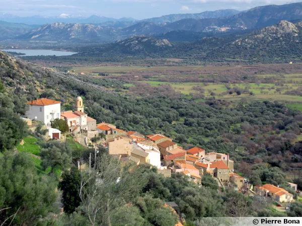 Avapessa, vue sur le Regino et le barrage de Codole avec en contrebas le jardin fruitier