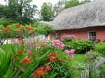 Dans un jardin en Irlande