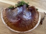 Ganoderma applanatum Ganoderma applanatum