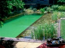 La piscine naturelle