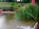 Construire une piscine naturelle