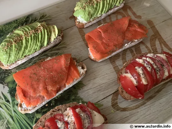 Assortiment de tartines