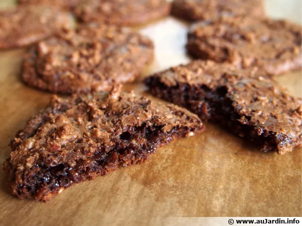 Biscuits choco noisette amande