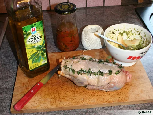 Caneton sauvage fari